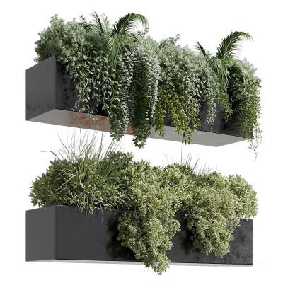 植物花箱